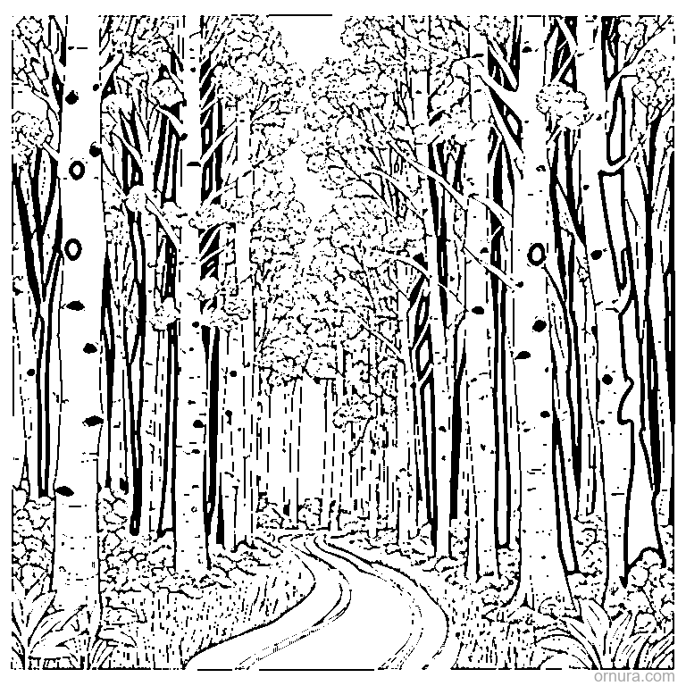 aspen forest path coloring page - free printable black and white line art for kids and adults