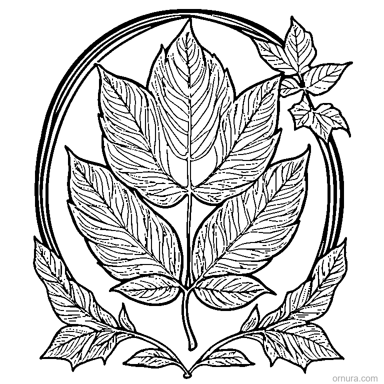 Autumn Leaf With Curled Edges coloring page