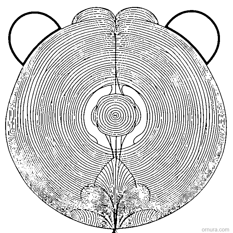 balloon pattern floating circl coloring page - free printable black and white line art for kids and adults