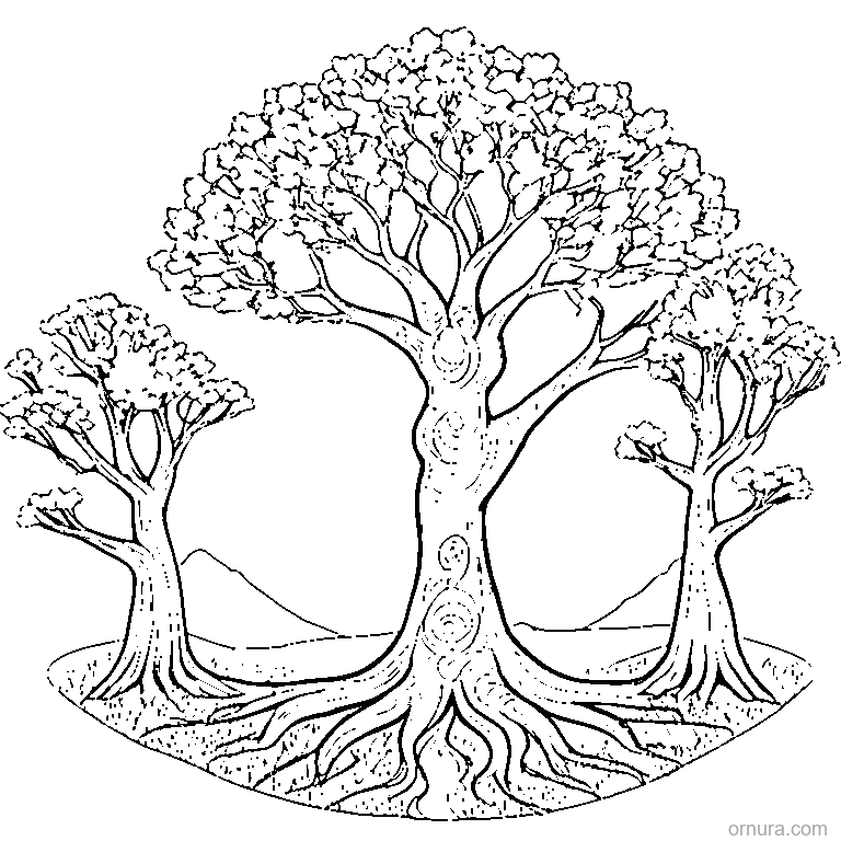 cherry blossom tree in bloom coloring page - free printable black and white line art for kids and adults
