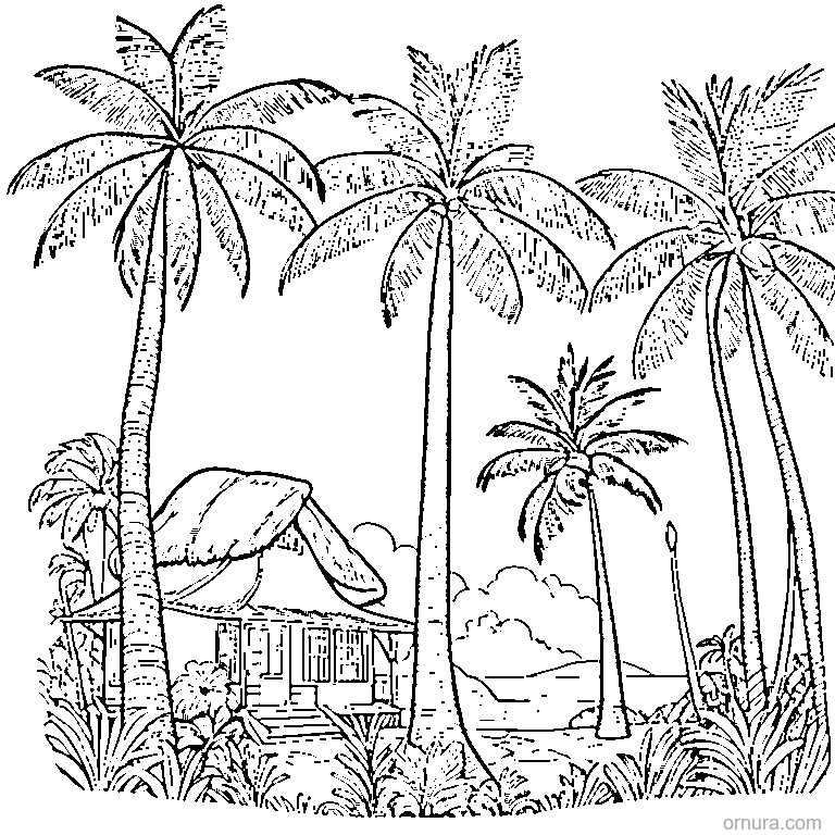 coconut palm tree coloring page - free printable black and white line art for kids and adults