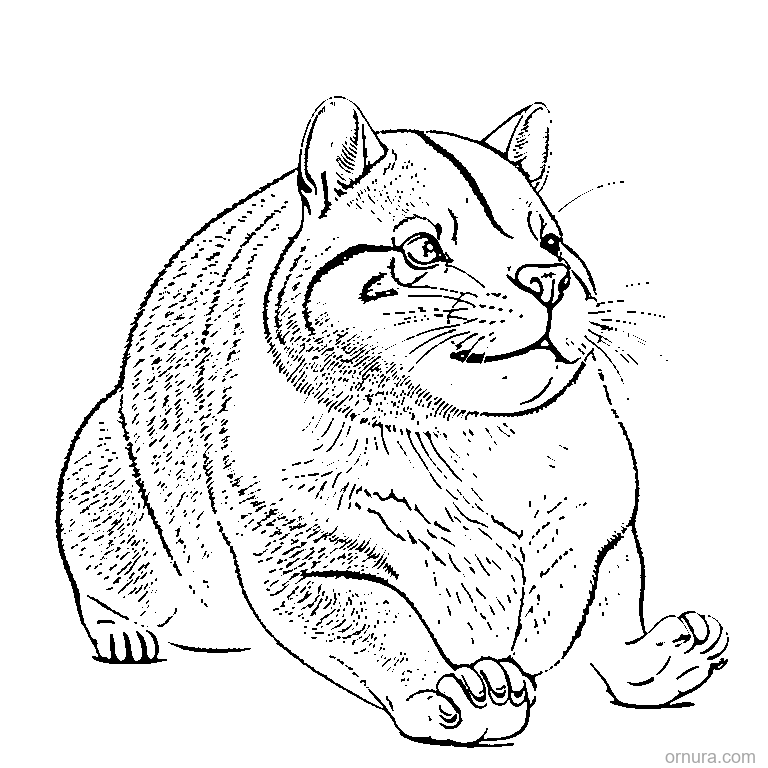 cute capybara from side coloring page - free printable black and white line art for kids and adults