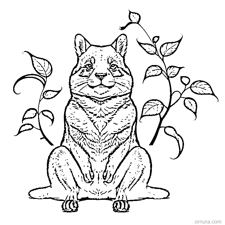 cute capybara sitting cross-legged coloring page - free printable black and white line art for kids and adults