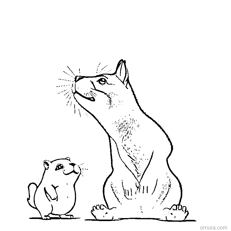 cute capybara stretching its body coloring page - free printable black and white line art for kids and adults