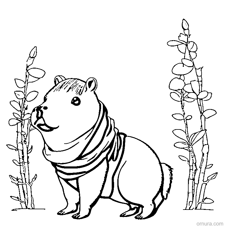cute capybara with a scarf coloring page - free printable black and white line art for kids and adults