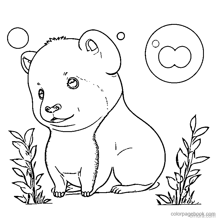 Cute Capybara With Orange On Head coloring page