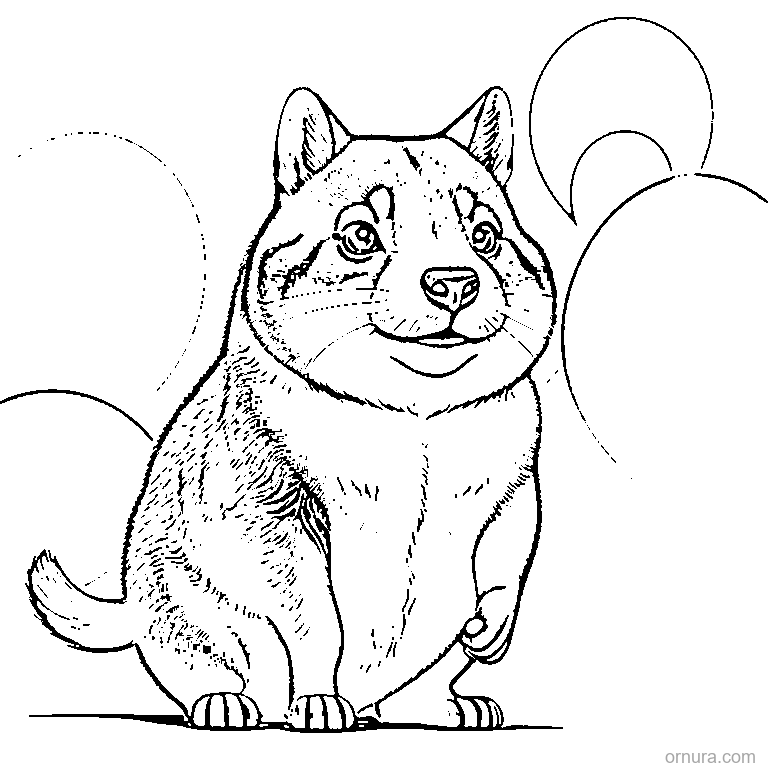 cute capybara with round body coloring page - free printable black and white line art for kids and adults