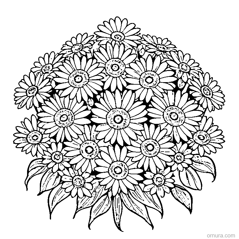 daisy pattern flower coloring page - free printable black and white line art for kids and adults