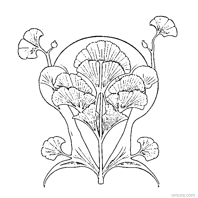 Fan-Shaped Ginkgo Leaf coloring page
