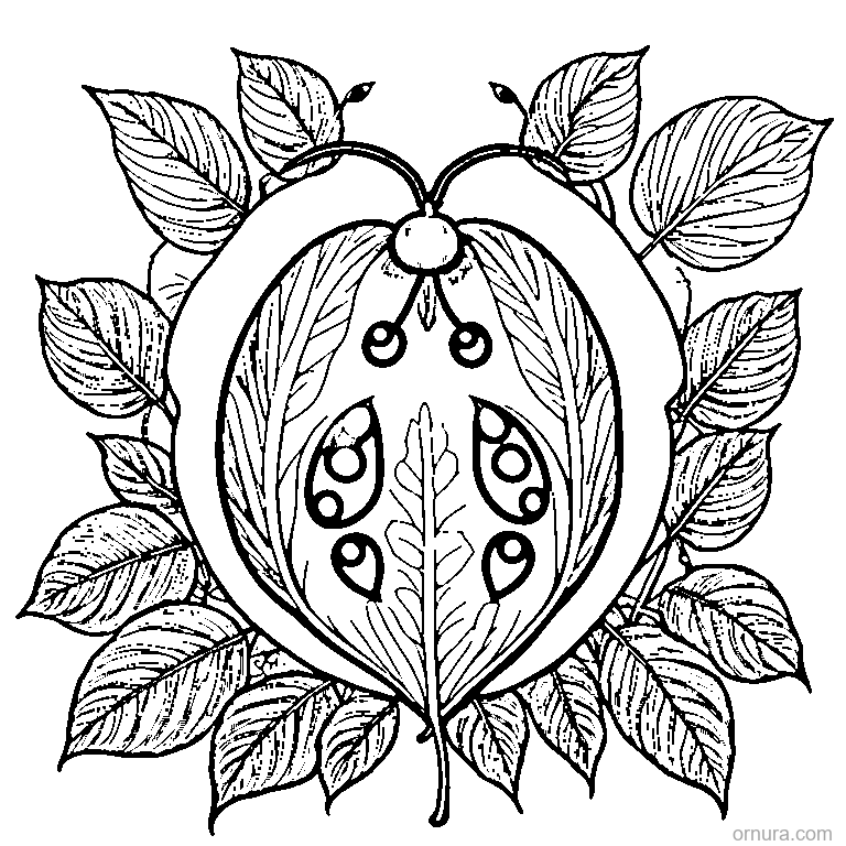 Leaf With A Ladybug Sitting On coloring page
