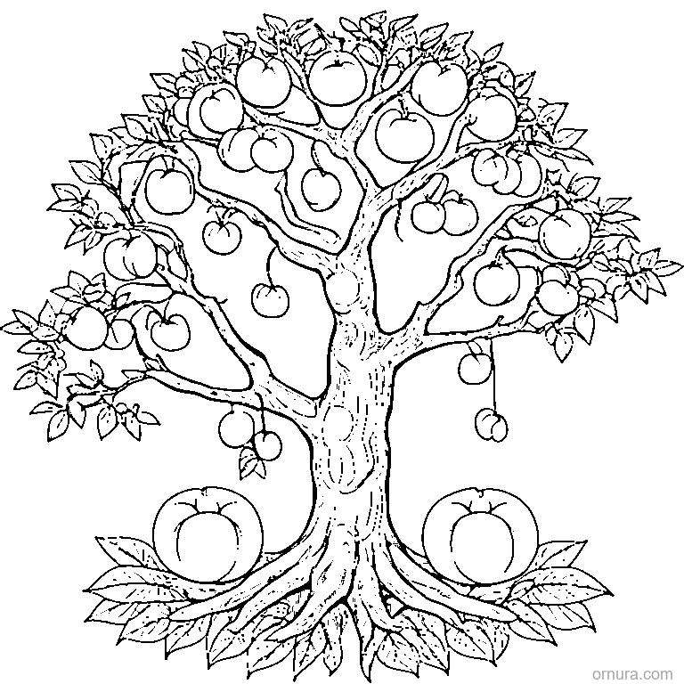 peach tree full of peaches coloring page - free printable black and white line art for kids and adults