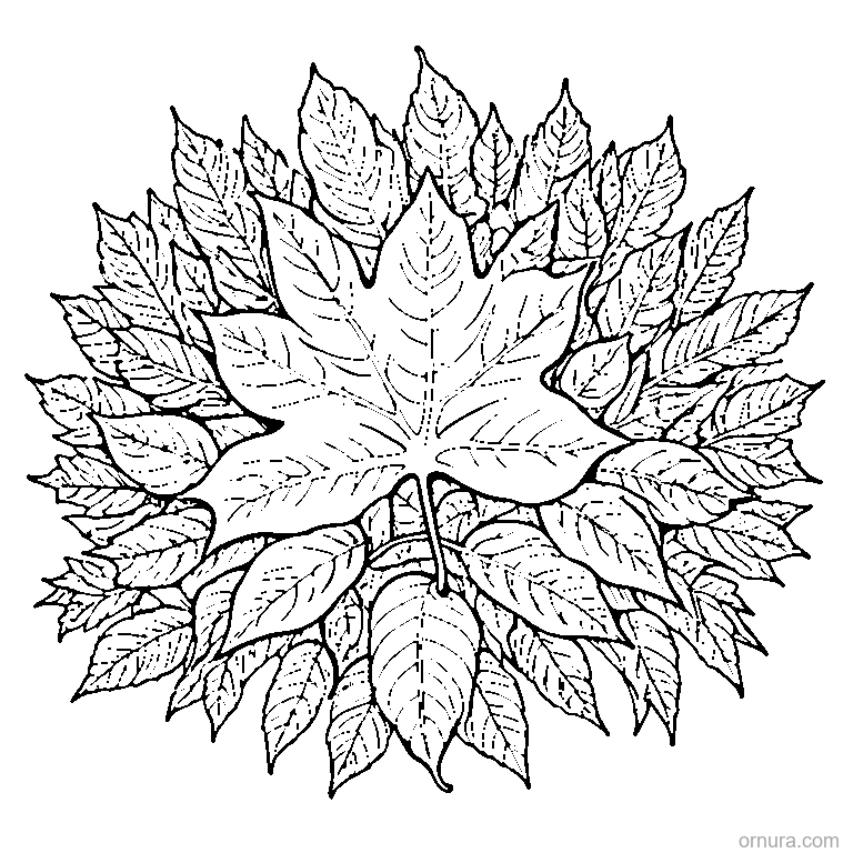 Pile Of Autumn Leaves On Ground coloring page