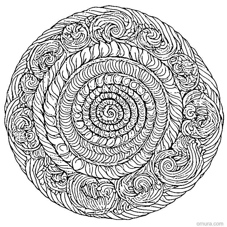 seashell pattern spiral coloring page - free printable black and white line art for kids and adults
