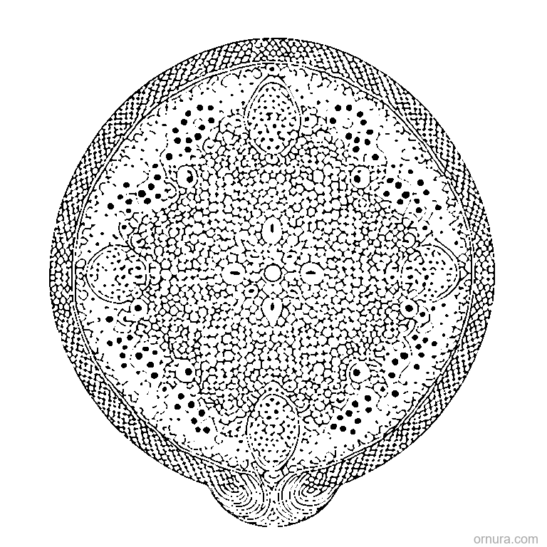 simple dots pattern coloring page - free printable black and white line art for kids and adults