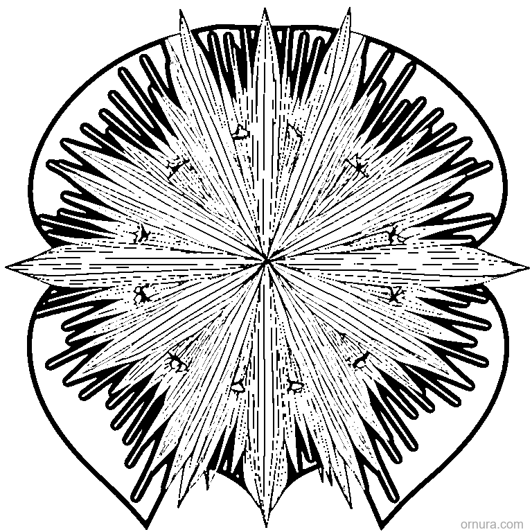 starburst pattern explosion coloring page - free printable black and white line art for kids and adults