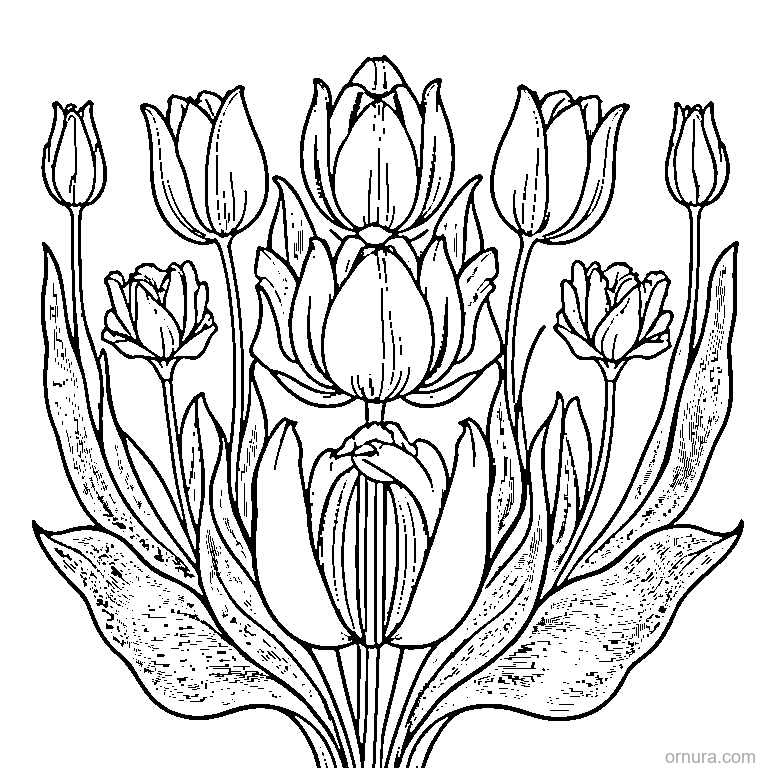 tulip pattern repeated coloring page - free printable black and white line art for kids and adults