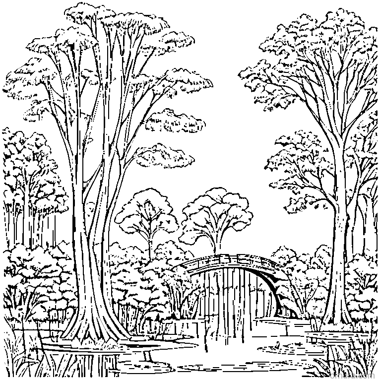 weeping willow tree by a pond coloring page - free printable black and white line art for kids and adults
