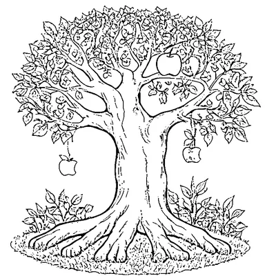 Apple Tree With Curly Branches coloring page - free printable