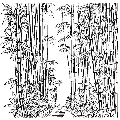 Bamboo Forest With Tall Stalks coloring page - free printable