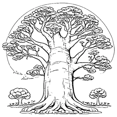 Baobab Tree On The Savanna coloring page - free printable