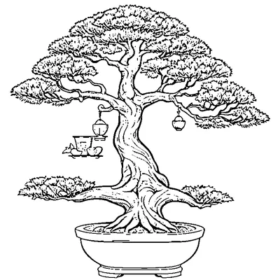 Bonsai Tree In A Pot coloring page - free printable