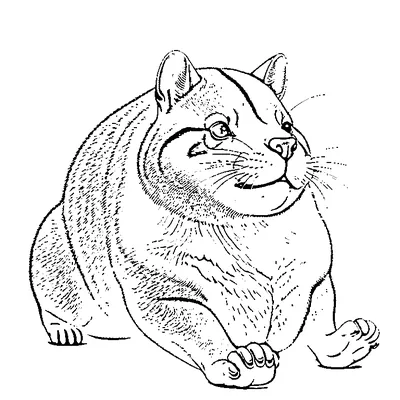 Cute Capybara From Side coloring page - free printable