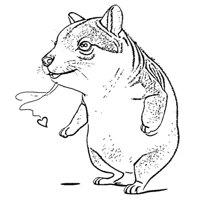 Cute Capybara Looking Down Shyly coloring page - free printable