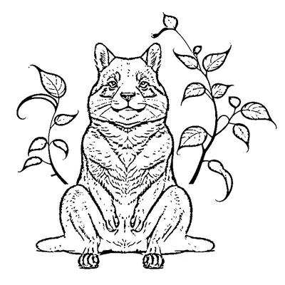 Cute Capybara Sitting Cross-Legged coloring page - free printable