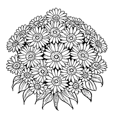 Daisy Pattern Flower coloring page design 3