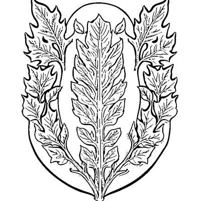 Detailed Oak Leaf With Lobes coloring page variation 5