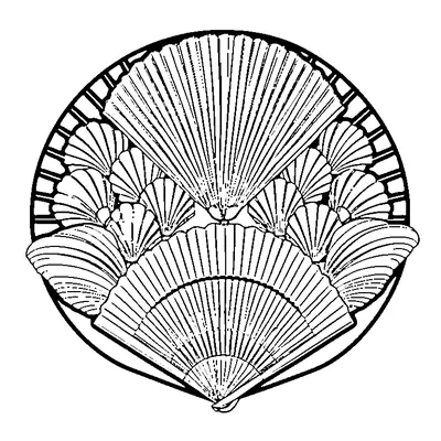 fan pattern shells coloring pages