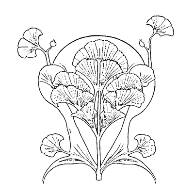 Fan-Shaped Ginkgo Leaf coloring page variation 1
