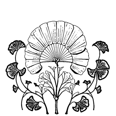 Fan-Shaped Ginkgo Leaf coloring page variation 4