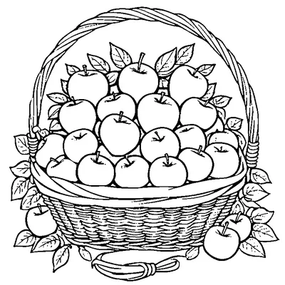 harvest basket with apples coloring pages