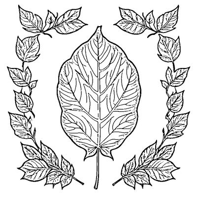 Leaf Falling From Tree coloring page variation 4