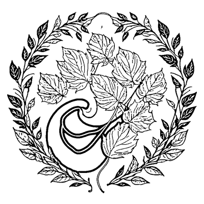 Leaf Swirling In Wind