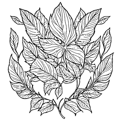 Leaf Swirling In Wind coloring page variation 4