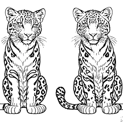 leopard print pattern coloring pages