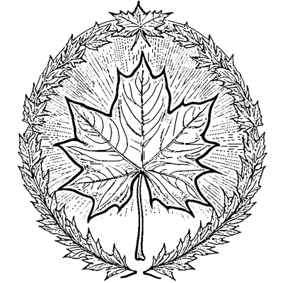 Maple Leaf Falling In Autumn Wind coloring page variation 4