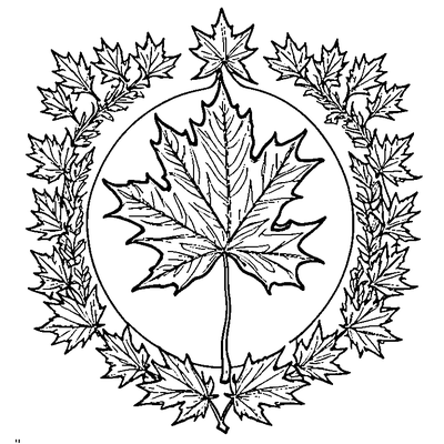 Maple Leaf Falling In Autumn Wind coloring page variation 5