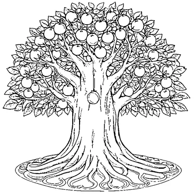 Orange Tree Full Of Oranges coloring page - free printable