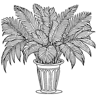 Palm Leaf With Fronds coloring page variation 3