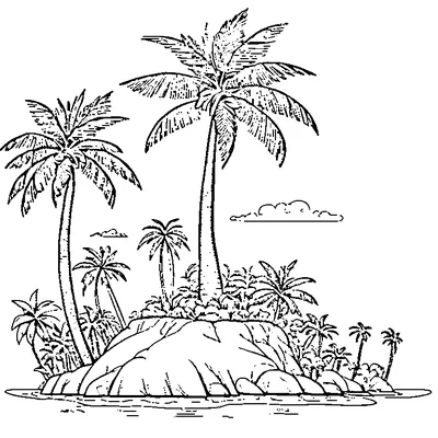 Palm Tree On A Small Island