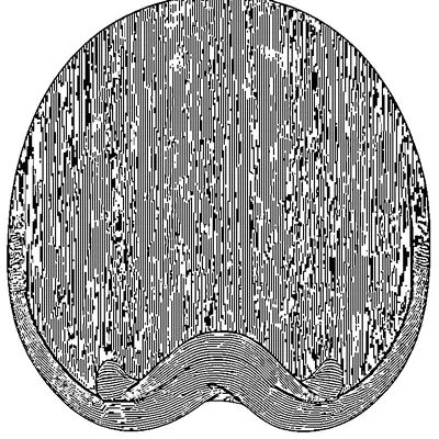 ribbon pattern wavy lines coloring pages