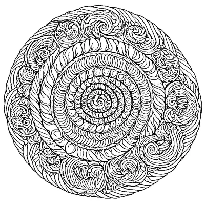 seashell pattern spiral coloring pages