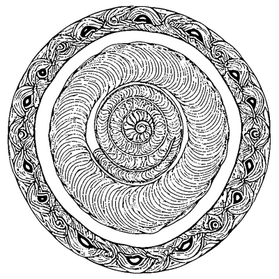 Seashell Pattern Spiral coloring page design 3