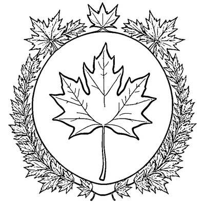 Simple Maple Leaf With Bold Outlines coloring page variation 3