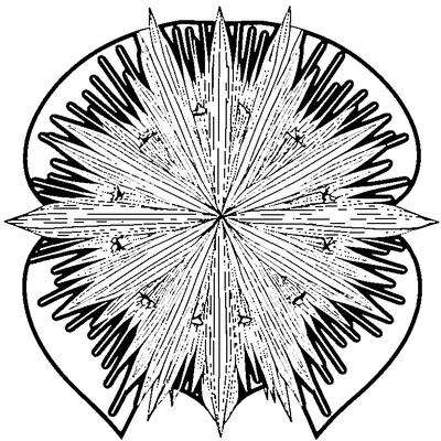 starburst pattern explosion coloring pages
