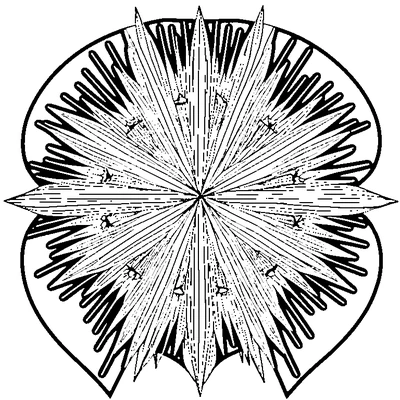 Starburst Pattern Explosion coloring page design 2