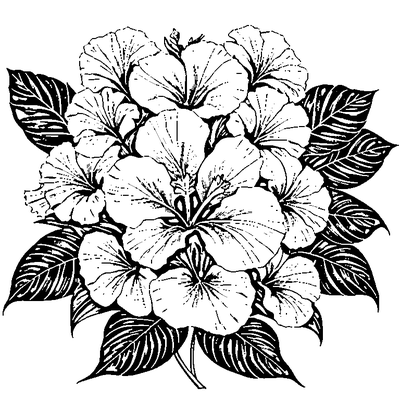 Tropical Leaf With Hibiscus Flower coloring page variation 3